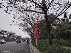 Dự báo thời tiết 10 ngày tới (11-19/2): Bắc Bộ, Nghệ An-Quảng Bình trời rét, vùng núi rét đậm, rét hại; Trung Bộ mưa to cục bộ; Đông Nam Bộ nắng nóng