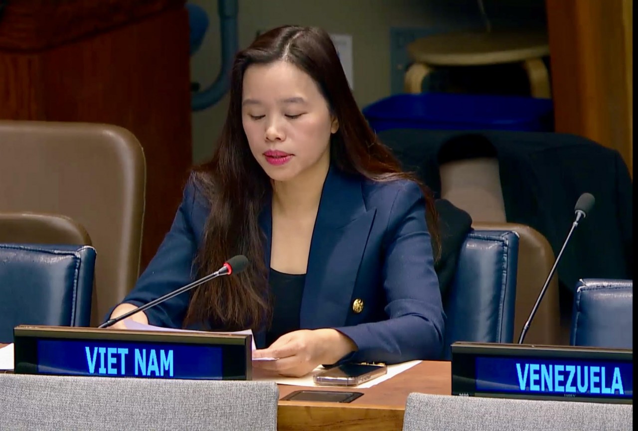 Việt Nam cam kết thực hiện hiệu quả việc ngăn chặn, chống và xoá bỏ mua bán trái phép súng nhỏ và vũ khí nhẹ