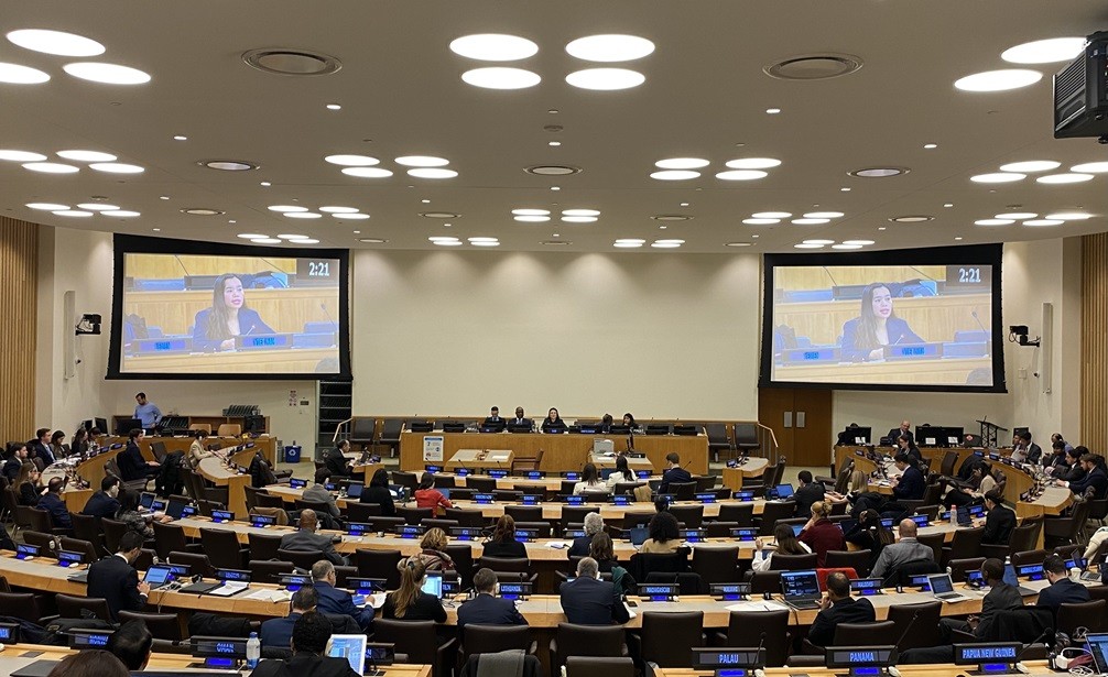 Việt Nam cam kết thực hiện hiệu quả việc ngăn chặn, chống và xoá bỏ mua bán trái phép súng nhỏ và vũ khí nhẹ