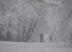 Mỹ: Bão tuyết lớn và bất ngờ ảnh hưởng đến khu vực Đông Bắc