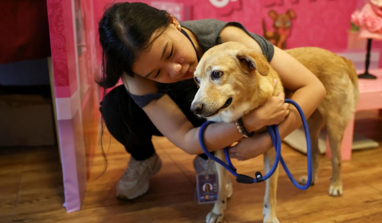 Những khoảnh khắc ngọt ngào trong ngày Valentine trên khắp thế giới