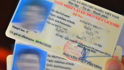 Sử dụng bằng lái xe giả bị phạt bao nhiêu tiền?