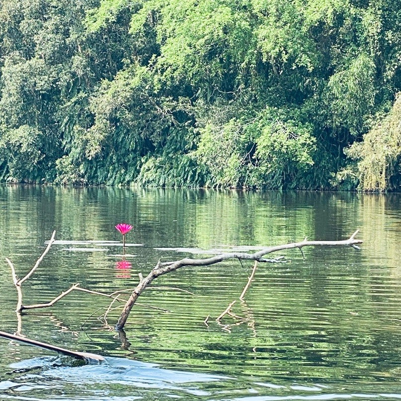 Điểm sáng giữa vùng xanh. Điểm sáng giữa vùng xanh.