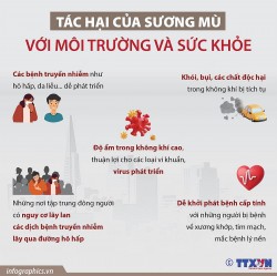 Sương mù khiến vi khuẩn, virus phát triển nhanh hơn trong cơ thể người