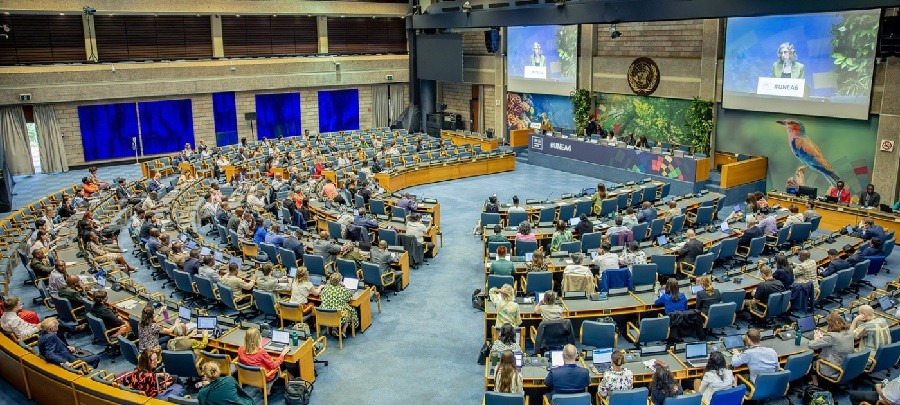 193 thành viên LHQ nhóm họp, tìm hướng giải quyết các vấn đề môi trường mà thế giới đang đối mặt