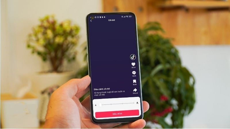 cach chinh co chu hien thi tren tiktok cuc don gian