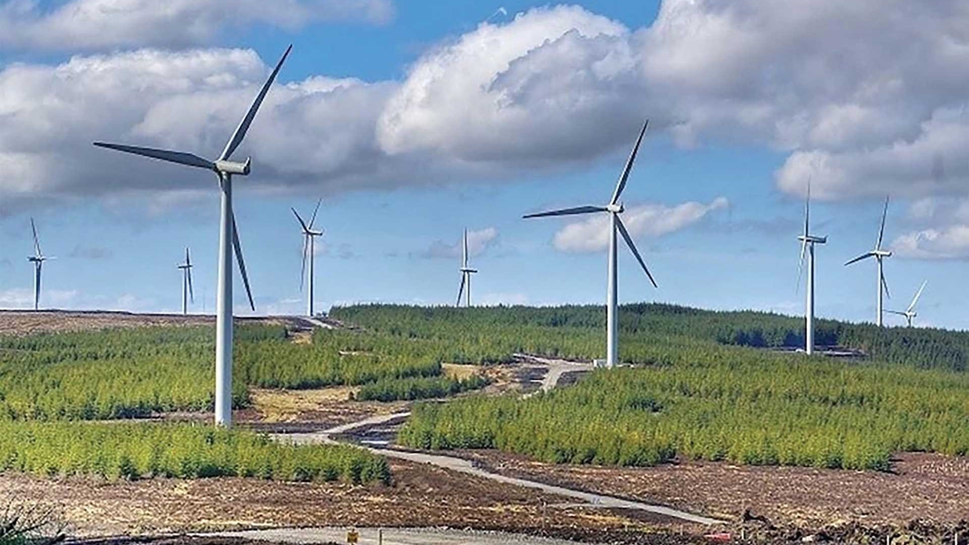 de nen kinh te xanh hon