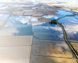 Khám phá vẻ đẹp nông nghiệp lúa nước Italy