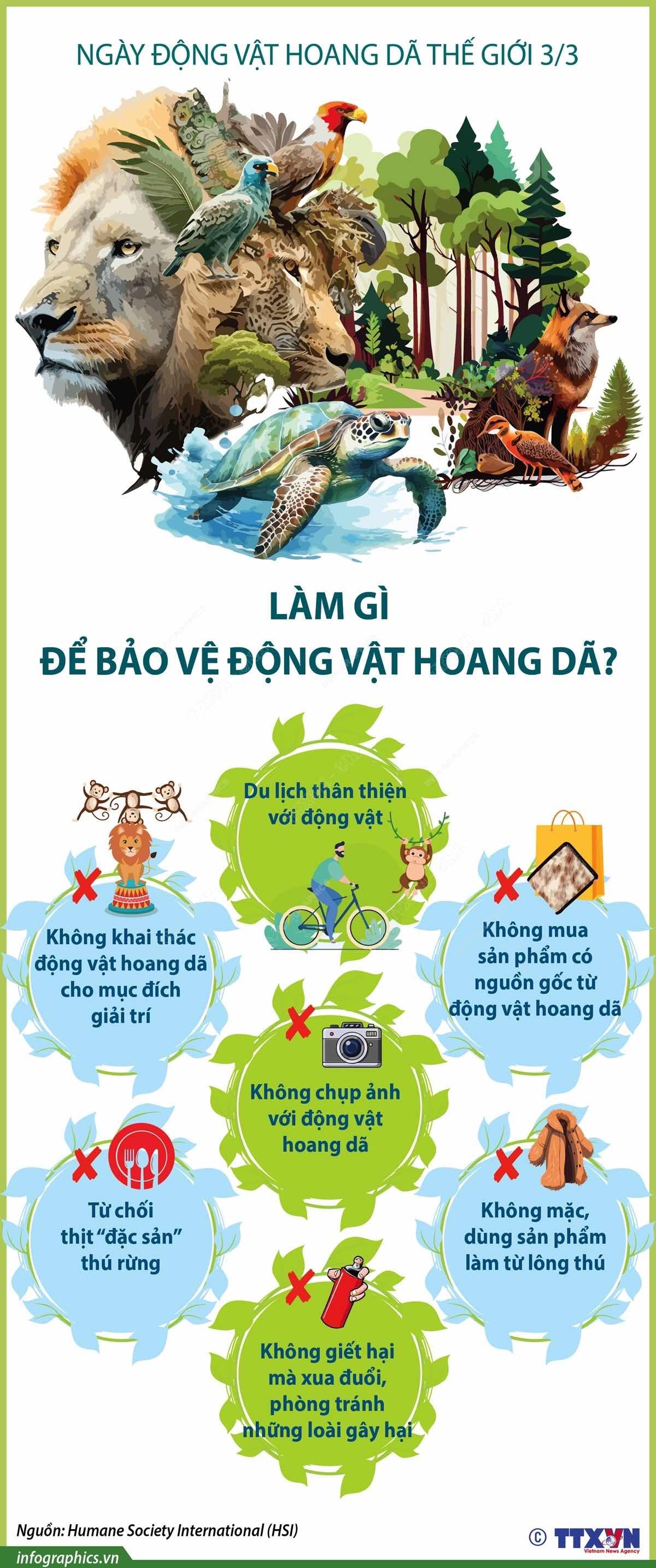Chung tay bảo vệ động vật hoang dã đối mặt với cuộc khủng hoảng tuyệt chủng