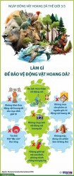 Chung tay bảo vệ động vật hoang dã đối mặt với cuộc khủng hoảng tuyệt chủng