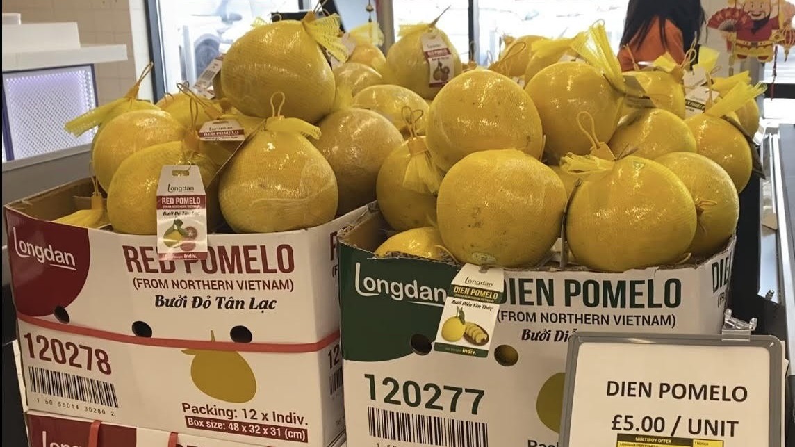 nong lam thuy san xuat sieu hon 94 ty usd day la 3 thi truong lon nhat cua viet nam