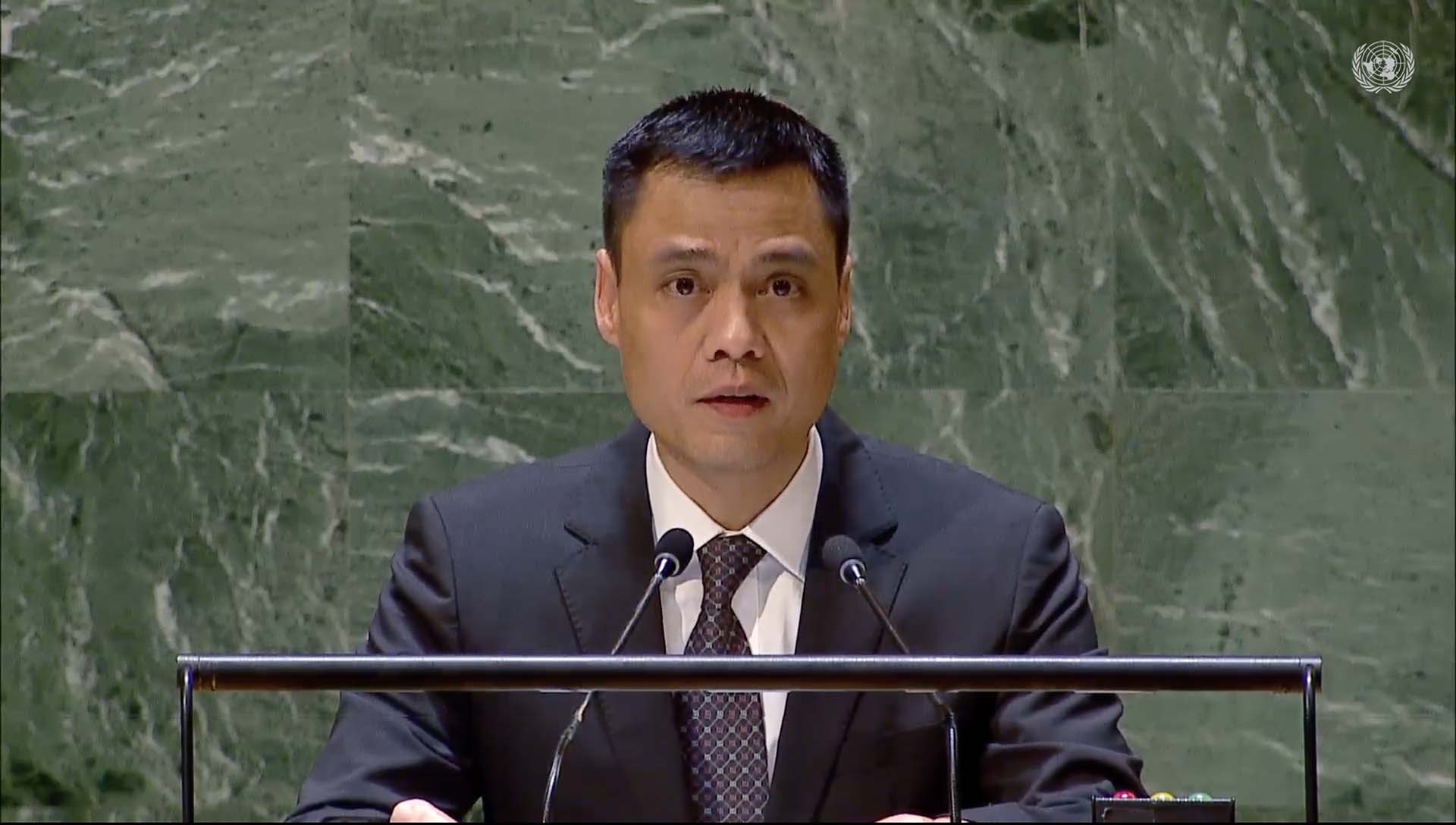 Đại sứ Đặng Hoàng Giang phát biểu tại phiên thảo luận. 