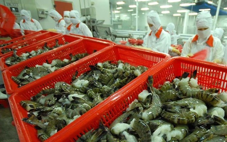 Xuất khẩu ngày 4-10/3: Nhờ EVFTA, cá ngừ tươi, đông lạnh và khô vào EU tăng phi mã; 'cửa sáng' cho hàng dệt may từ thị trường Brazil