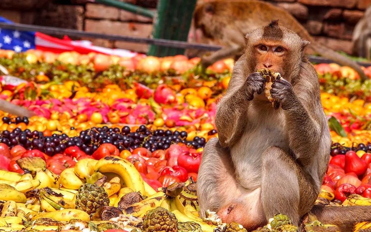 Những lễ hội 'độc nhất vô nhị' của Thái Lan Những lễ hội 'độc nhất vô nhị' của Thái Lan