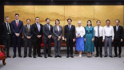 Đà Nẵng khẳng định sẵn sàng tạo điều kiện cho doanh nghiệp Pháp tới đầu tư