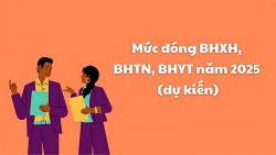 Mức đóng BHXH, BHTN, BHYT năm 2025 khi sửa Luật Bảo hiểm xã hội, Luật Việc làm, Luật Bảo hiểm y tế