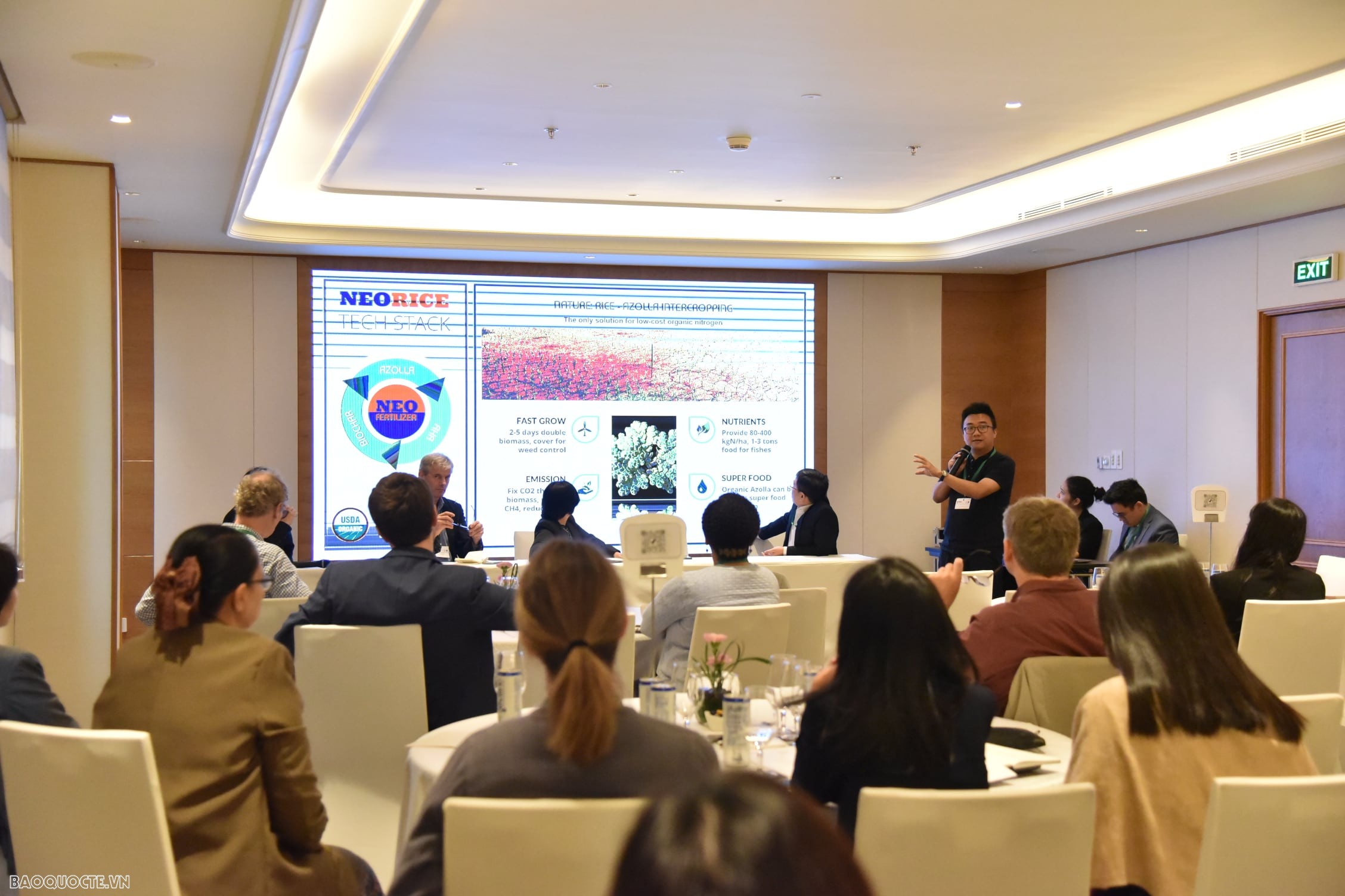 Những giải pháp khả thi nhất cho vấn đề an ninh lương thực ở Việt Nam