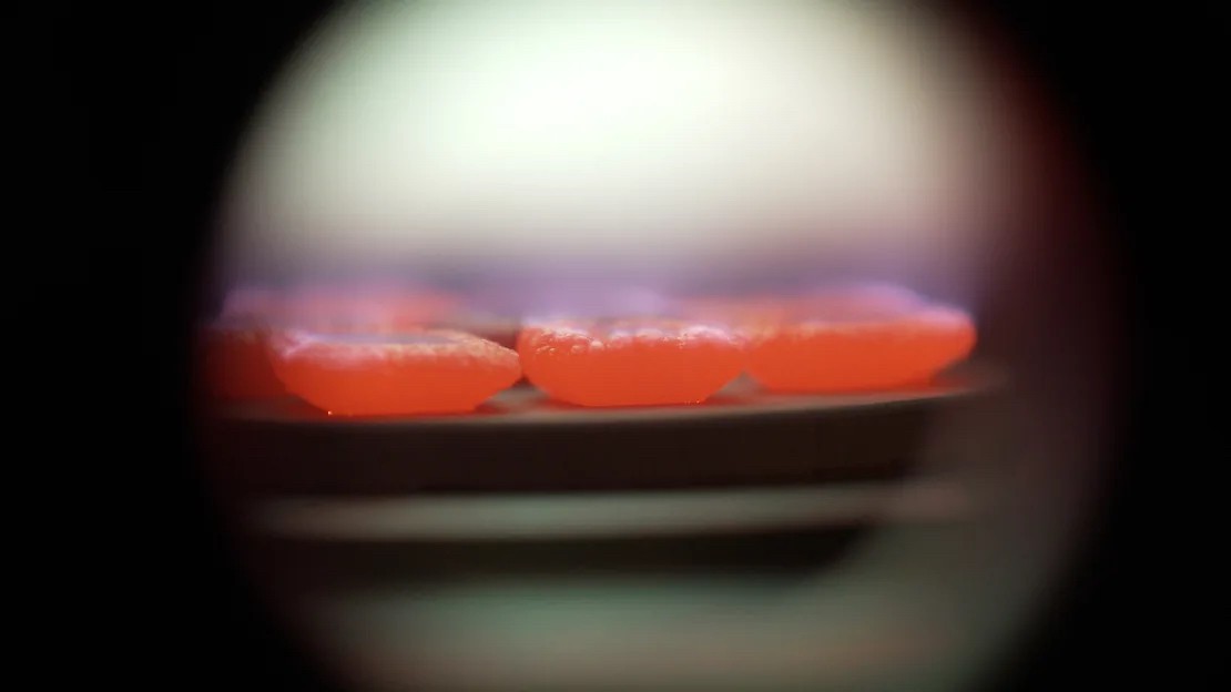 Sản xuất kim cương nhân tạo tại UAE: Ý tưởng táo bạo đưa 'mỏ' kim cương đến tay người tiêu dùng