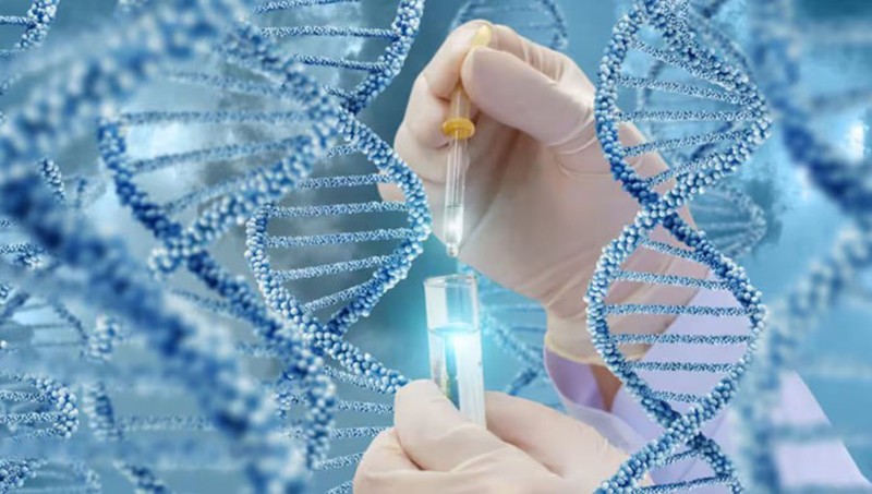 Năng lực AI của Việt Nam thúc đẩy các công ty khởi nghiệp trong lĩnh vực y học chính xác