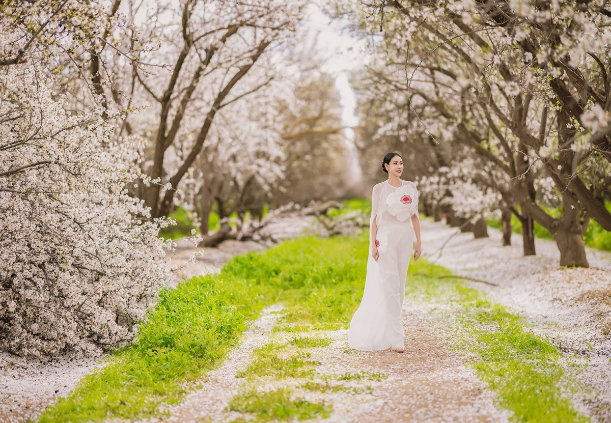 Hoa hậu Hà Kiều Anh