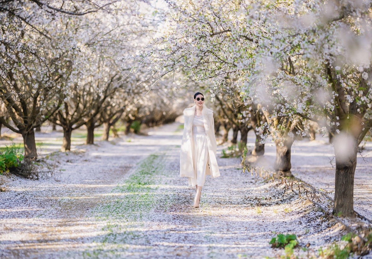 Hoa hậu Hà Kiều Anh