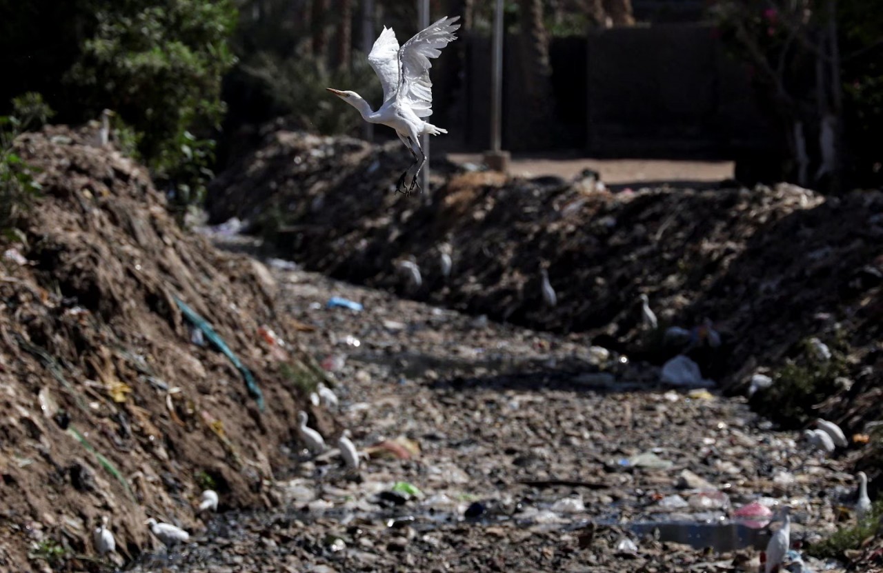 Ngày Nước thế giới (22/3): Tài nguyên quan trọng của hành tinh xanh