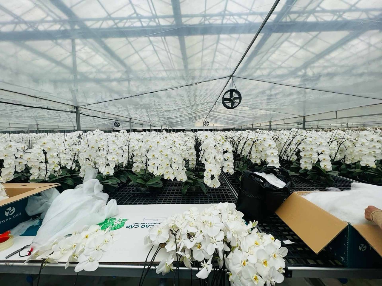 Mở ra những cơ hội hợp tác cho doanh nghiệp Việt Nam từ chuyến thăm của Trợ lý Tổng thư ký LHQ, Giám đốc UNITAR