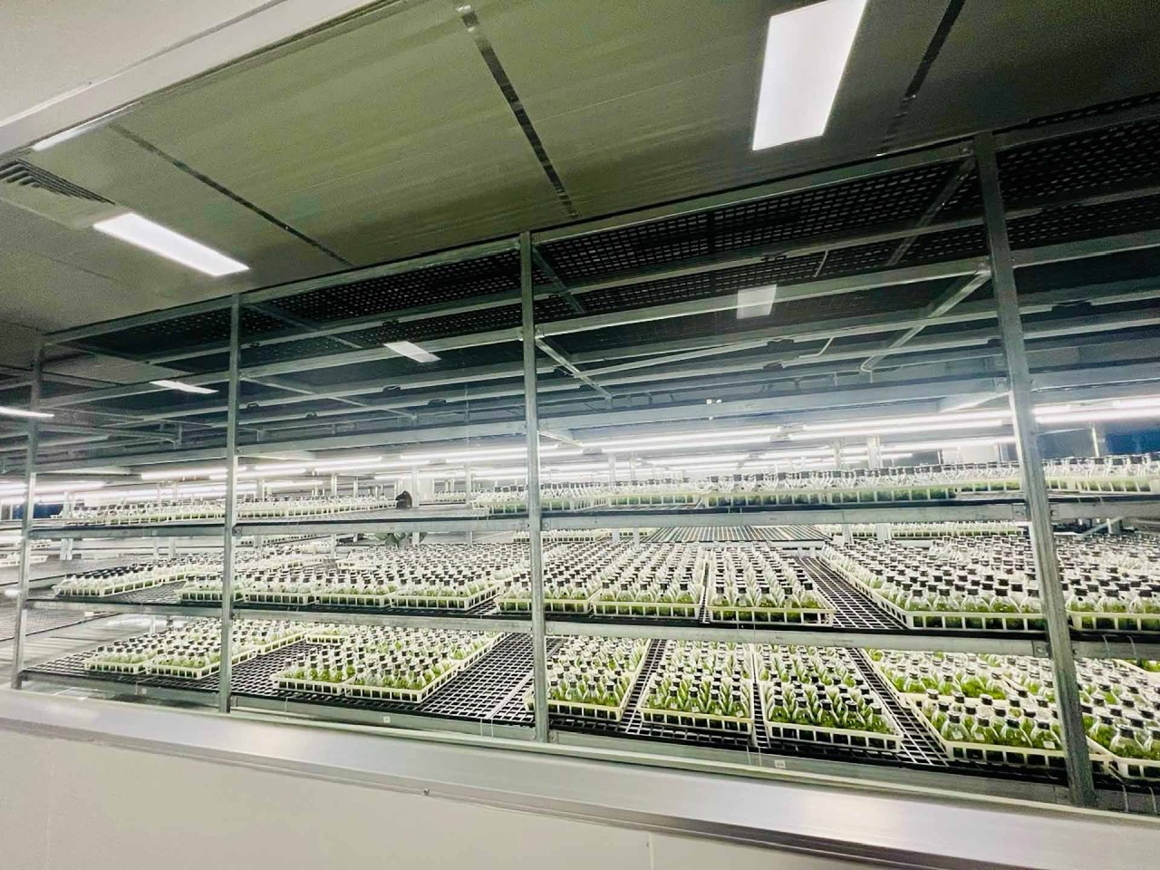 Mở ra những cơ hội hợp tác cho doanh nghiệp Việt Nam từ chuyến thăm của Trợ lý Tổng thư ký LHQ, Giám đốc UNITAR