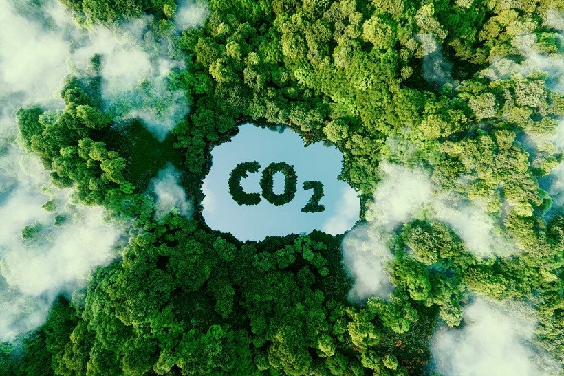 Malaysia giải quyết bài toán khó về tín chỉ carbon thế nào, chọn môi trường hay cơ hội kinh tế?