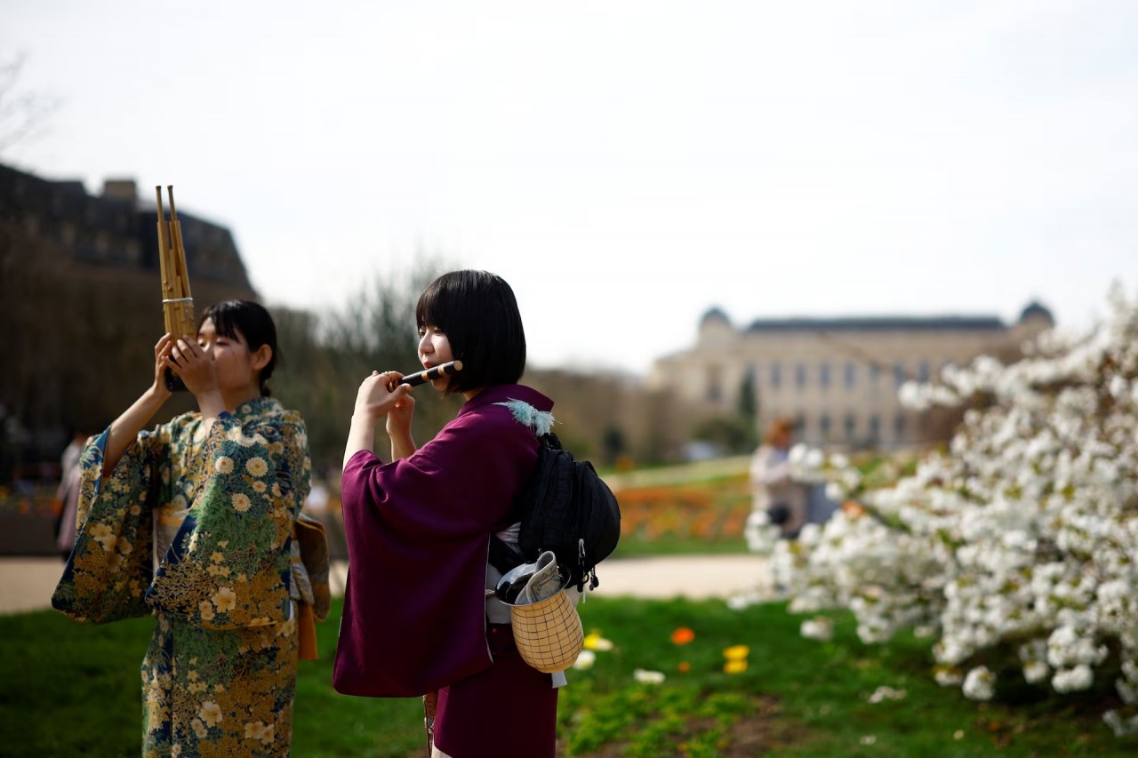 Mê mẩn cảnh sắc hoa anh đào nở rộ trên thế giới