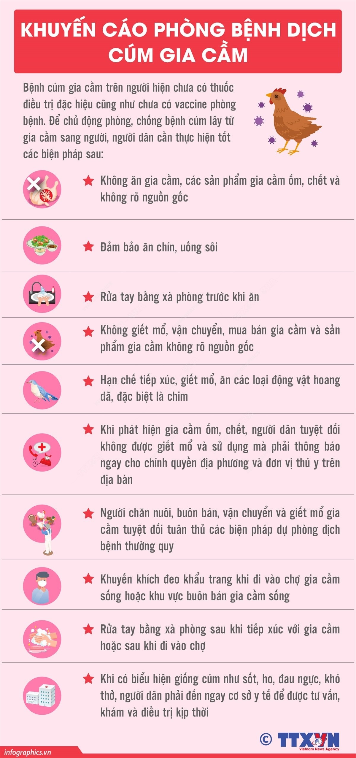 Khuyến cáo phòng bệnh dịch cúm gia cầm Khuyến cáo phòng bệnh dịch cúm gia cầm