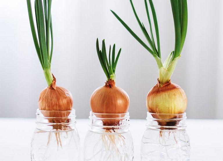 Top 5 thực phẩm giải nhiệt cơ thể tự nhiên khi Hè đến