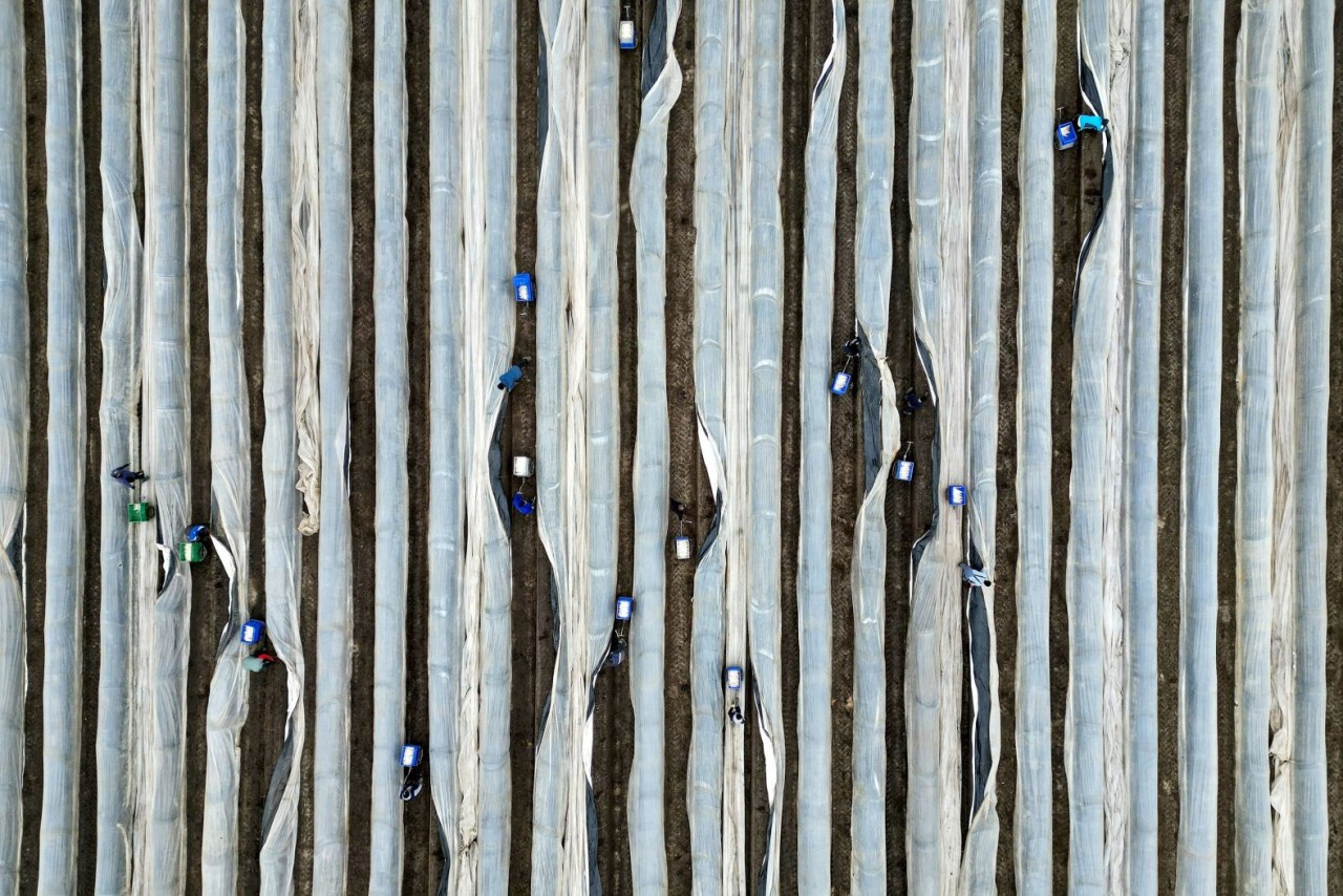 Ảnh ấn tượng (1 7/4): Nga nói về mục đích của kẻ chủ mưu đánh bom nhà hát, Ukraine tập trận ở miền Nam, Đại sứ quán Iran tại Syria bị tấn công