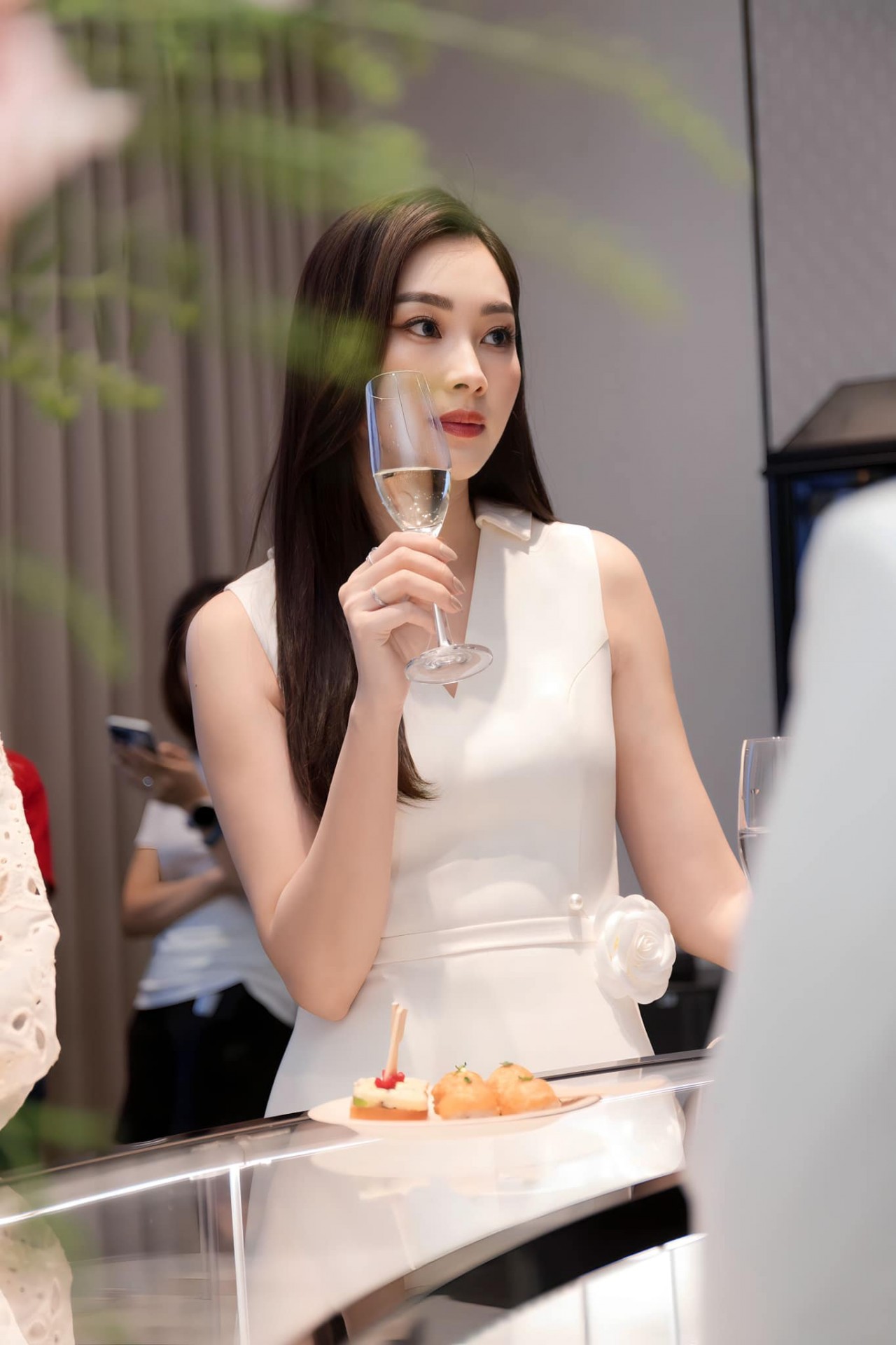 Hoa hậu Đặng Thu Thảo Hoa hậu Đặng Thu Thảo