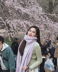 Dàn sao Việt khoe ảnh check-in dưới những tán hoa anh đào rực rỡ tại Bắc Mỹ và Đông Bắc Á