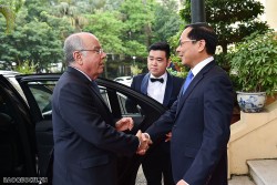 Bộ trưởng Ngoại giao Bùi Thanh Sơn đón, hội đàm với Bộ trưởng Ngoại giao Brazil Mauro Vieira