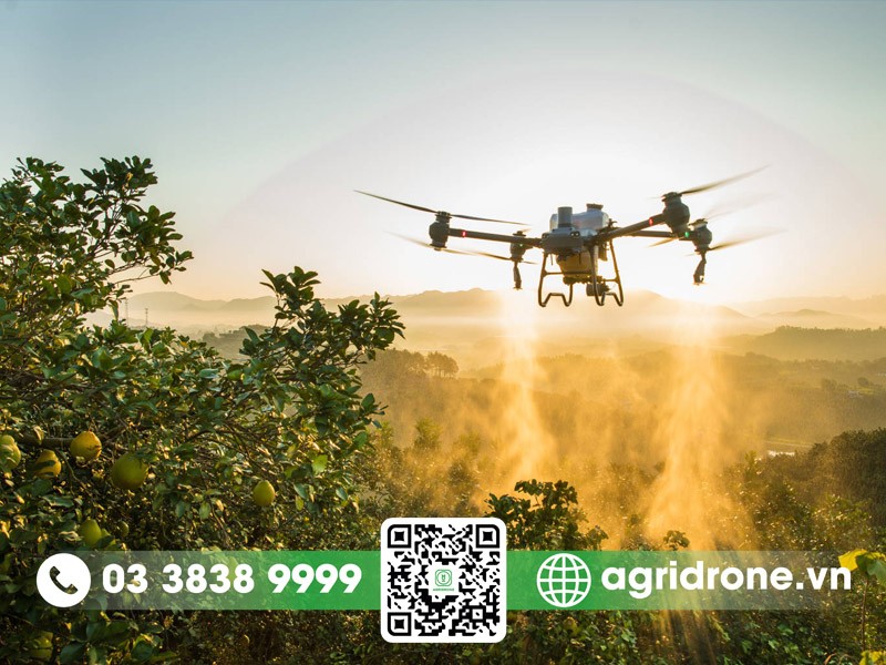 AgriDrone chuyên phân phối máy bay phun thuốc DJI T50 tại Việt Nam AgriDrone chuyên phân phối máy bay phun thuốc DJI T50 tại Việt Nam
