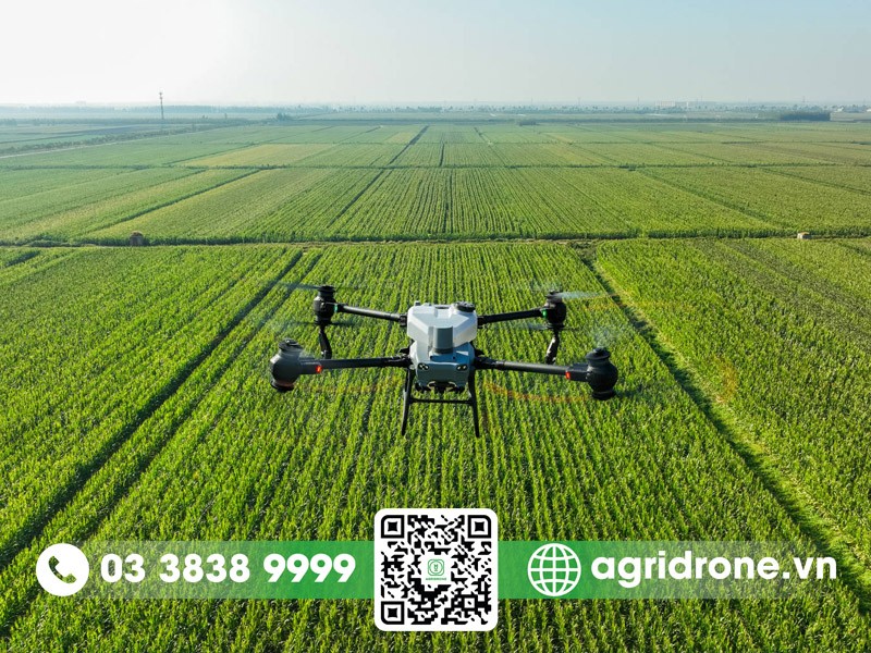 AgriDrone chuyên phân phối máy bay phun thuốc DJI T50 tại Việt Nam AgriDrone chuyên phân phối máy bay phun thuốc DJI T50 tại Việt Nam