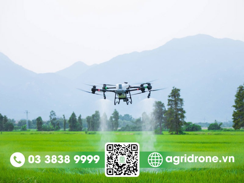 AgriDrone chuyên phân phối máy bay phun thuốc DJI T50 tại Việt Nam AgriDrone chuyên phân phối máy bay phun thuốc DJI T50 tại Việt Nam