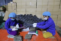 'Gỡ khó' cho kinh tế tập thể, phát triển bền vững chuỗi giá trị sản phẩm