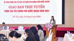 Hội nghị giao ban trực tuyến công tác phi chính phủ nước ngoài năm 2024