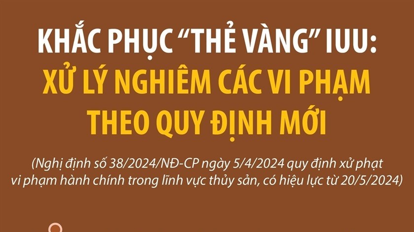Chống khai thác IUU đã có sự chuyển biến, cần thêm sự nỗ lực từ địa phương