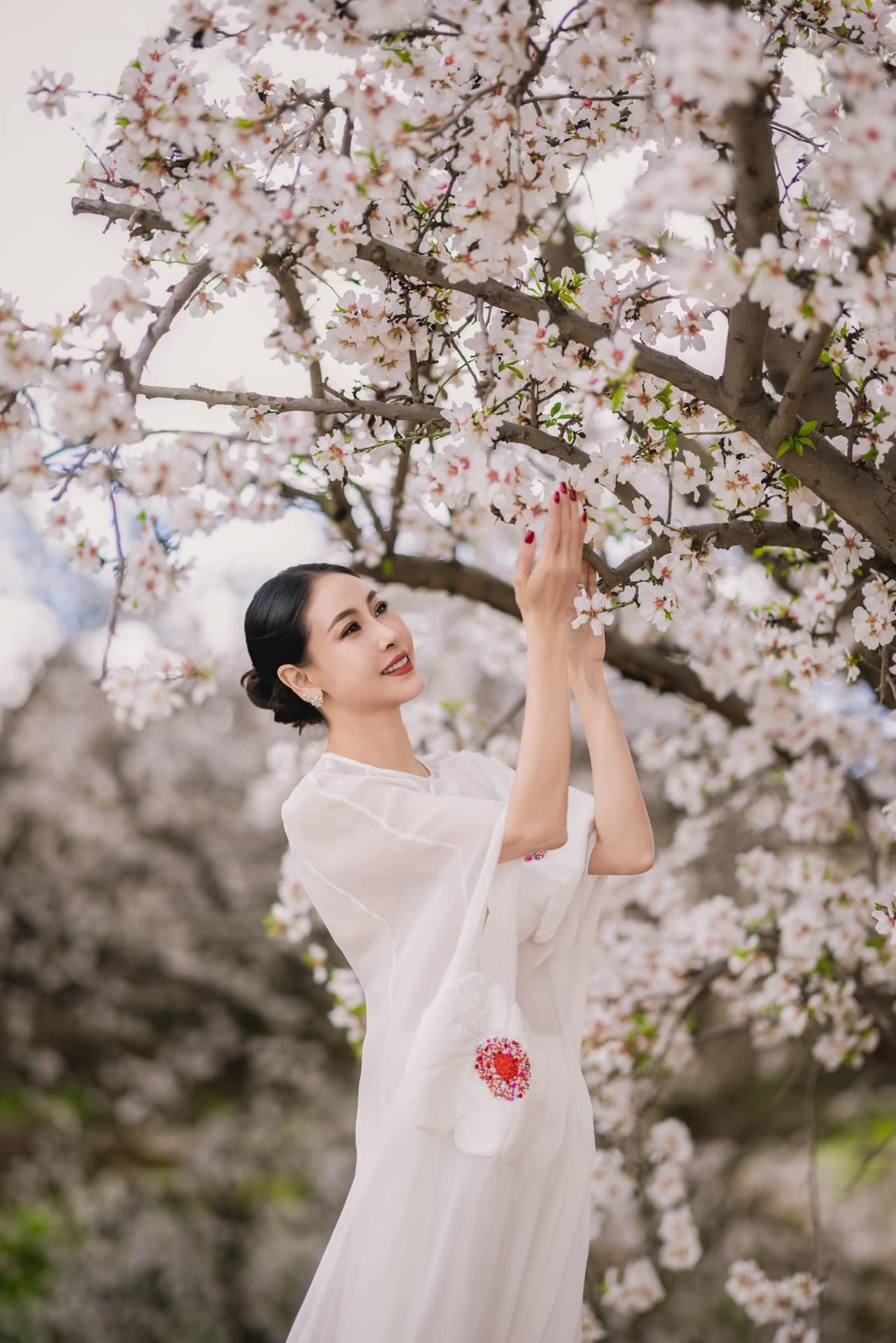 Hoa hậu Hà Kiều Anh