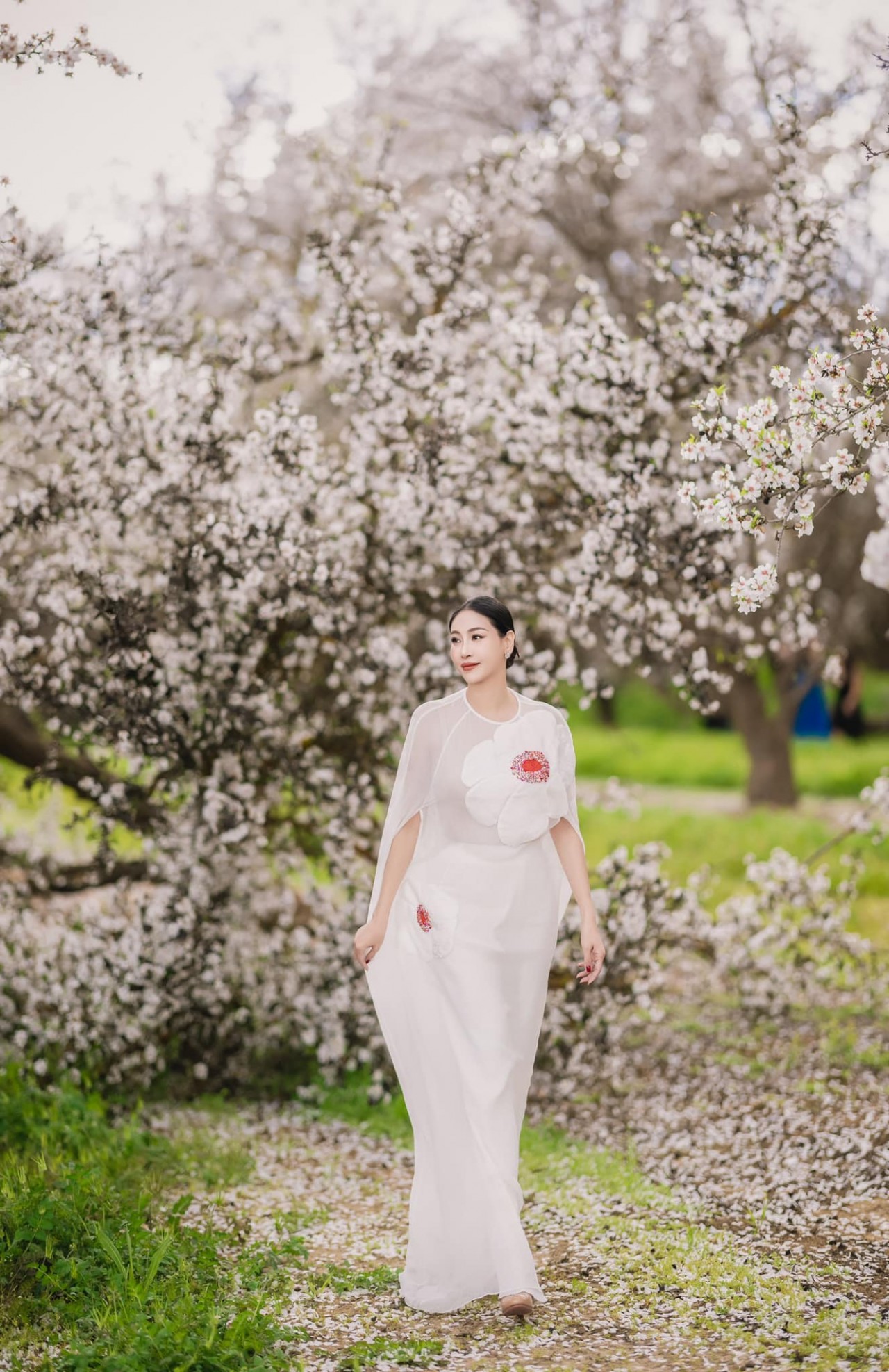 Hoa hậu Hà Kiều Anh