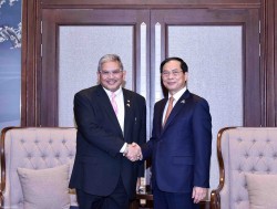 Bộ trưởng Ngoại giao Bùi Thanh Sơn gặp Bộ trưởng thứ Hai Bộ Ngoại giao Brunei