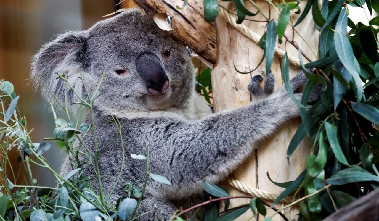 Ảnh ấn tượng (22 28/4): Nga vững vàng bất chấp thách thức chưa từng có, Mỹ-Trung ‘bắt đầu ổn định’, Tổng thư ký NATO trải nghiệm tiêm kích ‘chim sắt’