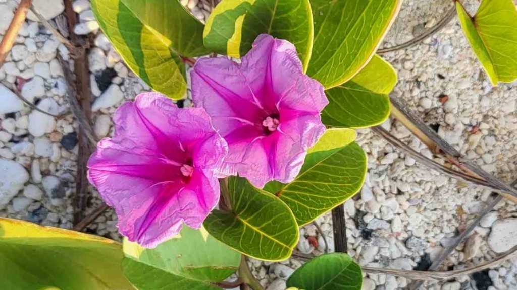 ngay 304 ca nuoc nang nong thoi tiet bac bo gay gat truoc khi mua