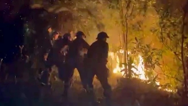 vu chay rung o nghe an uoc tinh thiet hai khoang 85ha rung