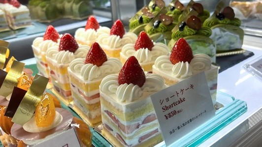 tu dau tay den du lich nuoc ngoai dong yen truot doc da danh vao tui tien nguoi nhat the nao