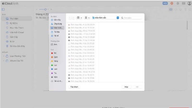 Cách xem ảnh trên iCloud bằng điện thoại, máy tính đơn giản nhất